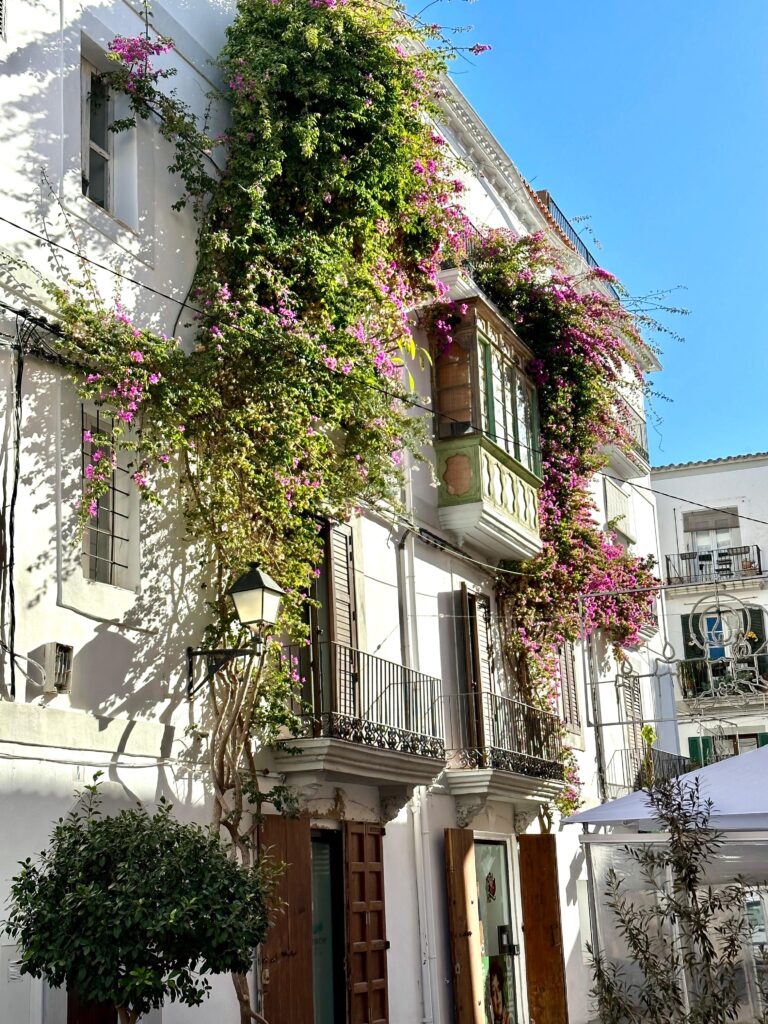 whatsapp image 2025 09 06 at 17.01.43