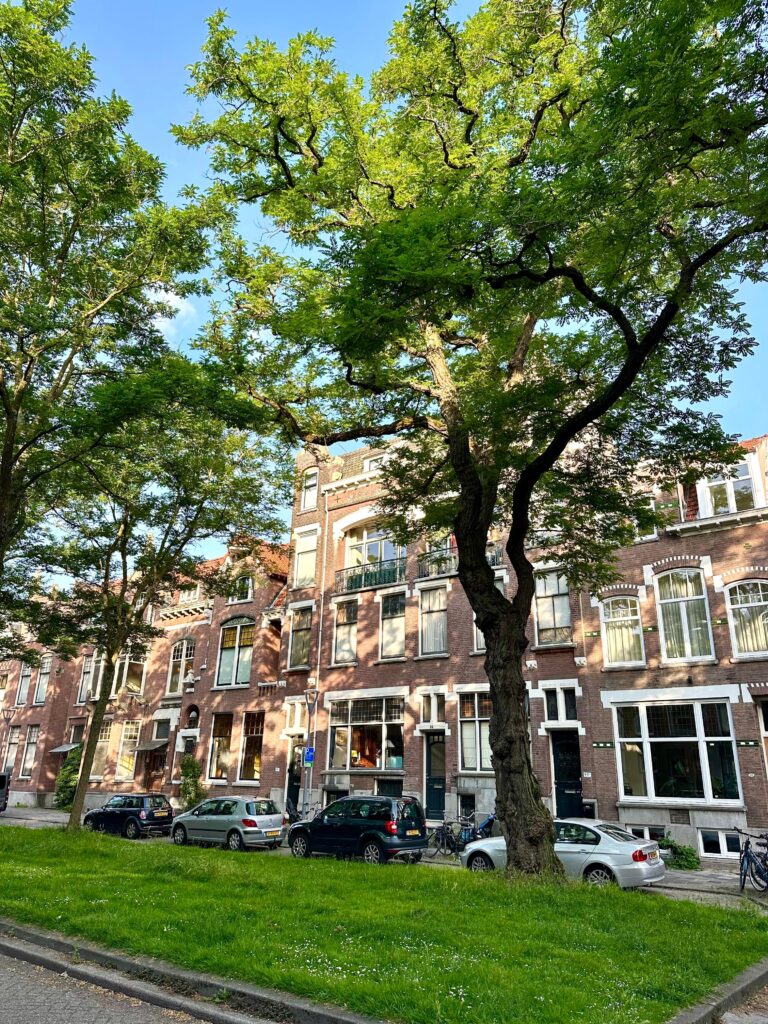 whatsapp image 2025 09 06 at 17.03.16