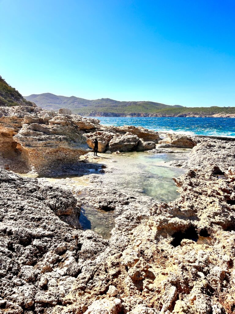 whatsapp image 2025 09 06 at 17.05.33