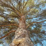 whatsapp image 2025 09 07 at 13.38.49