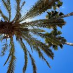 whatsapp image 2025 09 09 at 11.49.11