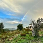 whatsapp image 2025 09 09 at 15.01.36