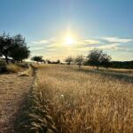 whatsapp image 2025 09 09 at 15.41.53