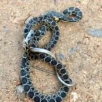 whatsapp image 2025 09 09 at 15.51.44