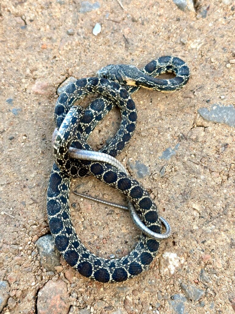 Track your fears & find your desires whatsapp image 2025 09 09 at 15.51.44