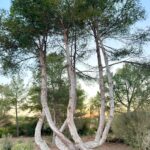 whatsapp image 2025 09 09 at 15.58.40