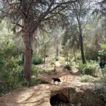 whatsapp image 2025 09 09 at 16.05.04