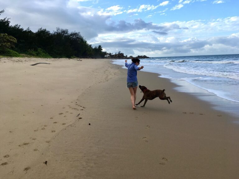 whatsapp image 2025 09 30 at 12.01.10