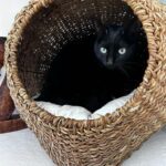 A lesson in universal boundaries whatsapp image 2025 12 12 at 10.50.21