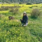 Ibiza yellow season whatsapp image 2026 01 30 at 10.05.03